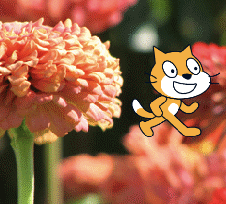 お花畑でねこさがし